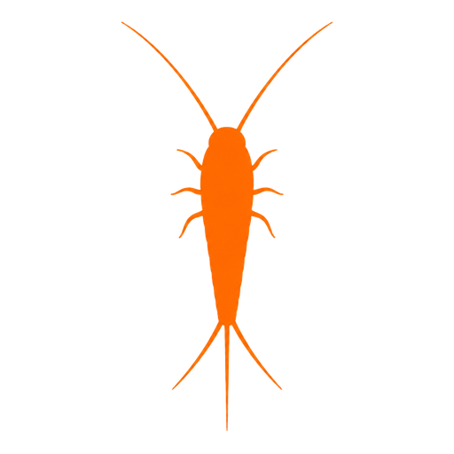 Poissons d'argent